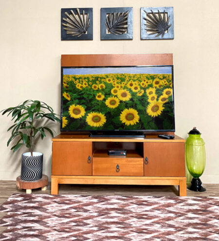 TV Unit With Panel _1