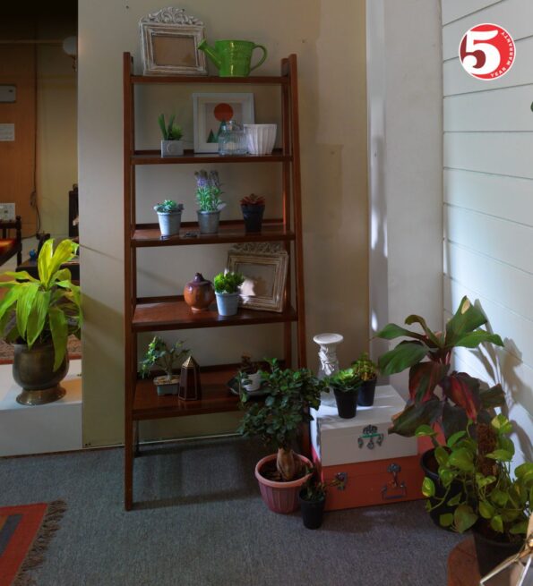 wooden book shelf, staircase style